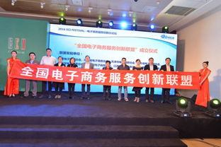 服务创新，共创电商未来 探索电子商务技术服务新篇章