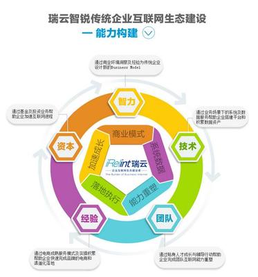电子商务服务与电子商务技术服务 数字时代商业转型的关键驱动